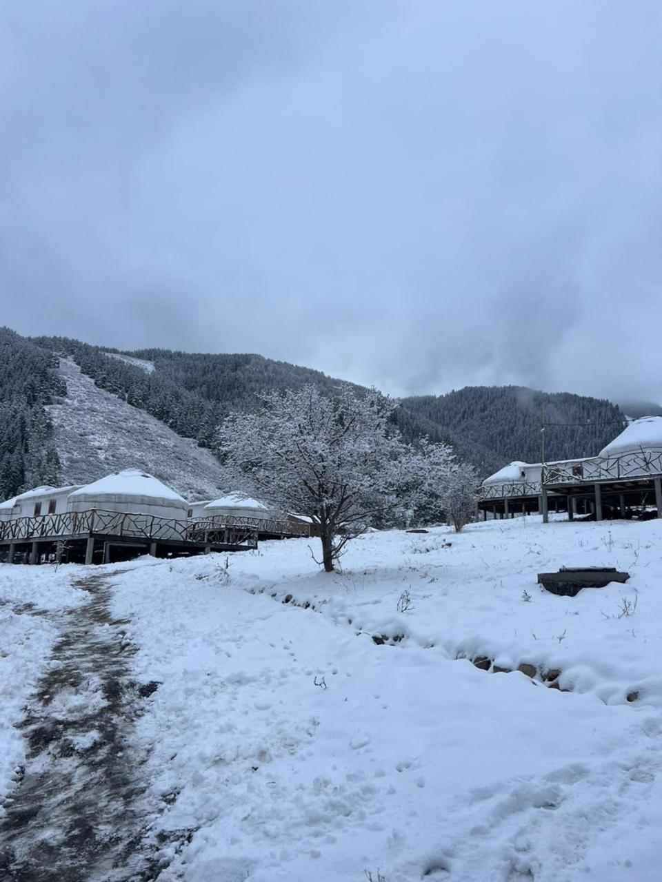 Ethno Complex Ala Kuch Hotel Kaindy Exterior foto